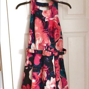 Eliza J  Size 4 Petite dress